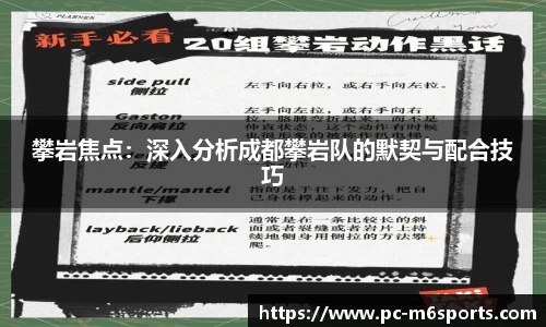 攀岩焦点：深入分析成都攀岩队的默契与配合技巧